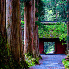 戸隠神社