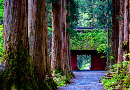 戸隠神社