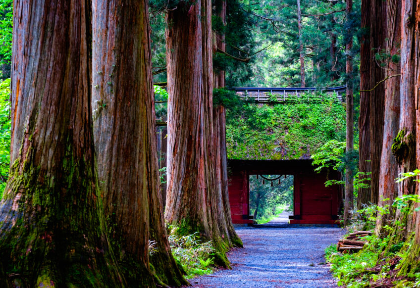 戸隠神社