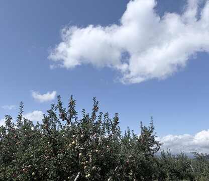 湯田中温泉・山ノ内町の秋の景色