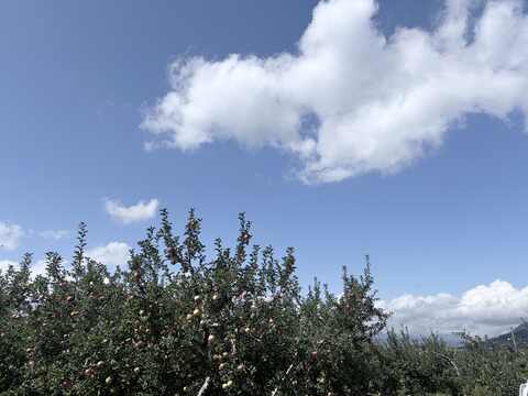 湯田中温泉・山ノ内町の秋の景色